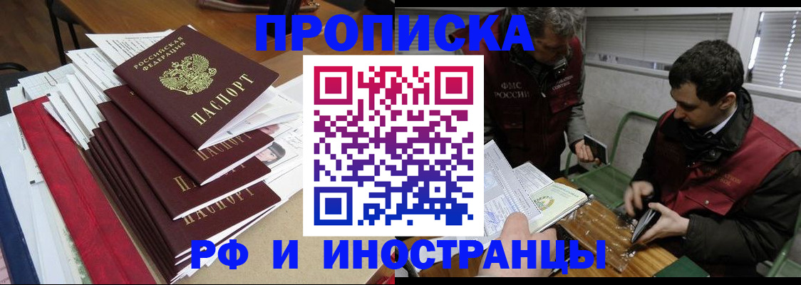 прописка 2025 в Елизово